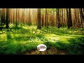 2 hours most beautiful relaxing voice by ameer shamim