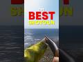 Is the BK-133 the best shotgun?