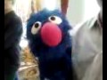 Grover says &quot;hello&quot; to Ally