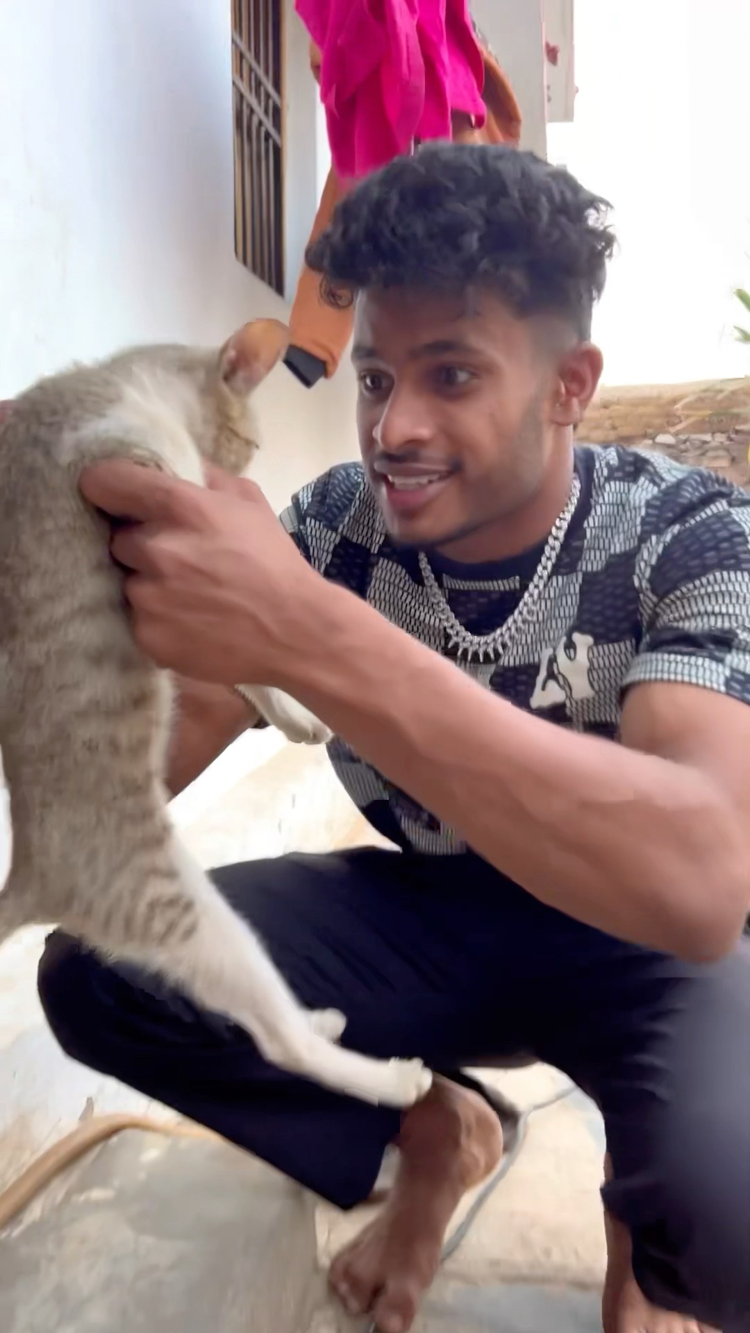 CHOTU KA SMART CAT #shorts @FACTFIREKING