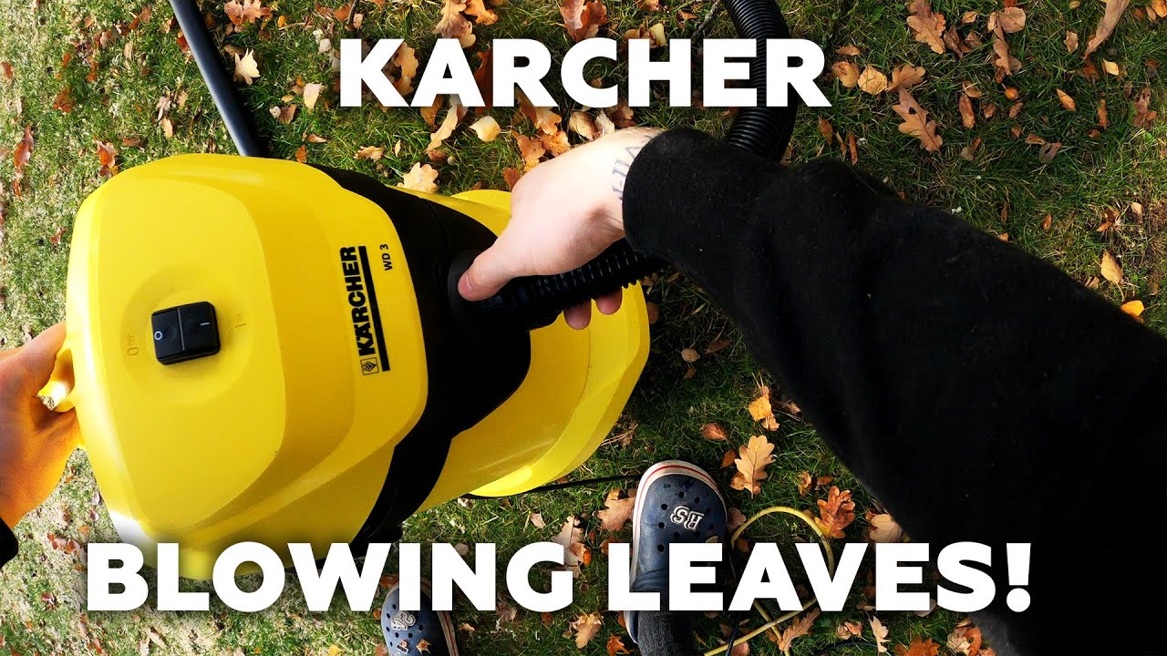 Karcher WD3 Blowing Leaves [Blowing Function Review] 