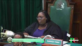 The Parliamentary Channel: The House of Assembly, 20th November 2024 Morning Session