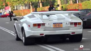 Americana Manhasset Concours 2014 Arrivals // Part 1