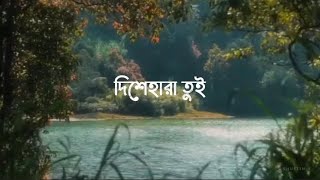 Dishehara Tui (দিশেহারা তুই) Lyrics | Shuvro