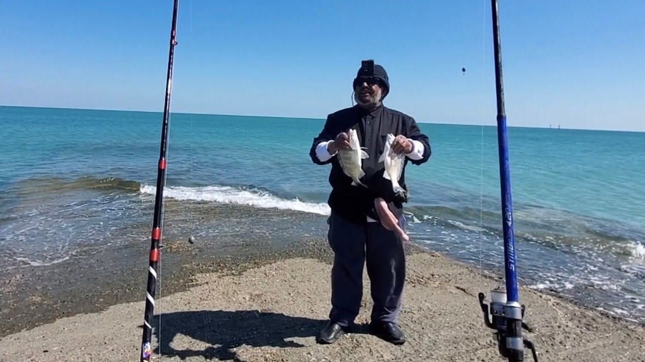 حداق بوناصر العمر  طلعات حداق خفيفة 🎣 من ٢/٢٧ إلى ٢٠٢٤/٣/٣ م الكويت 🇰🇼