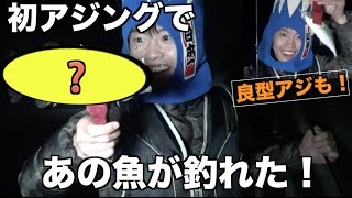 ♯３　マスオさん初の夜アジングに挑戦！