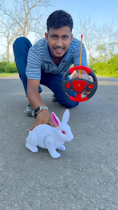 RC Spider Ko Hata k RC Rabbit Hi Hi 😀