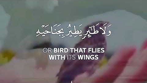 آيات تحث على التأمل والتفكر من القرآن الكريم رعد محمد الكردي حالات واتس اب دينية قصيرة مؤثرة تلاوة