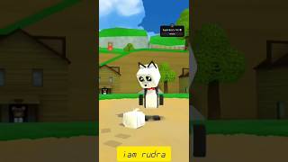 Super Bear Pet Super Bear Adventure