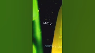 Lava Lamps Are Protecting Your Passwords?" 🤔#孫悟飯 # short #アニh