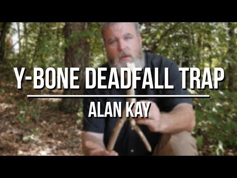 Y-Bone Deadfall Trap