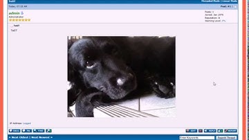 MyBB Insert Attachments Image Into Post