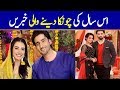 Most Shocking News Stories From Pakistani Showbiz In 2020 |The Fun Valley |#thefunvalley