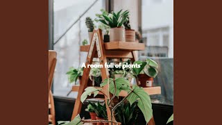 Simple Ambience for Decompressing Peace