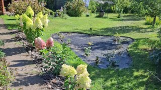 видео: Аллея из гортензий!🌿🌸| БиХеппи, Металлика, Самарская Лидия, Пандора и др.🌺🌿|25авг. #гортензии #сад картинка: Аллея из гортензий!🌿🌸| БиХеппи, Металлика, Самарская Лидия, Пандора и др.🌺🌿|25авг. #гортензии #сад