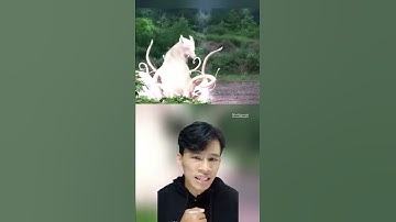 Trùng hợp đ.áng sợ khi thủ tướng ABE ra đi | khanhtrungsi