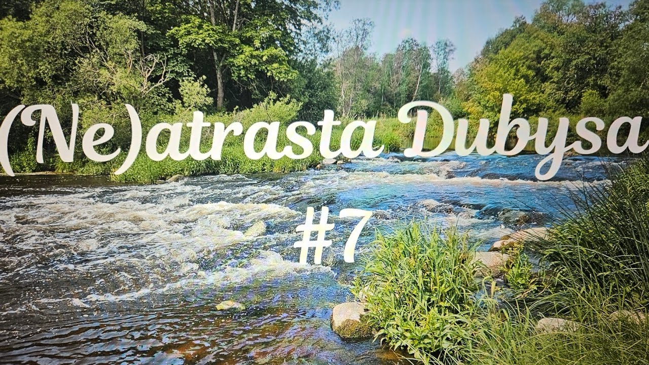 Neatrasta Dubysa #7