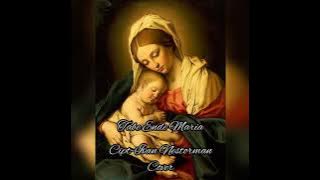 LAGU ROHANI MANGGARAI_TABE ENDE MARIA (COVER)