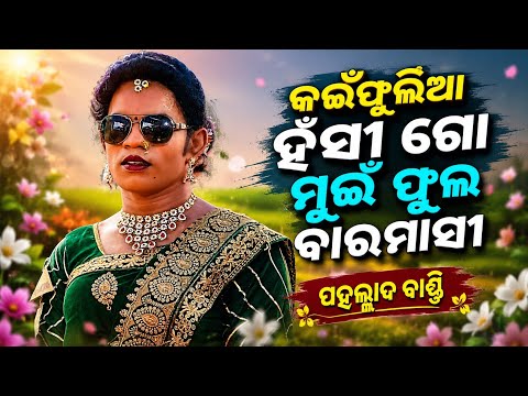 Kainphulia hasi||hai re dil mixture danda||pahalad bandi||sambalpurisur