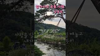 알다가도 모를 사람🎶강문경#현역가왕2 #남평문씨본리세거지 연못
