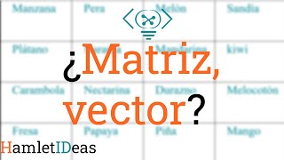 ¿Qué es una matriz y un vector en programación?