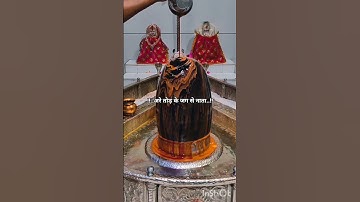 मेरा मालिक हैं शिवाय 🕉️🌿 #mahadev #mahadevstatus #shorts #ujjainkaraja #viral @Peaceofmind-l7m