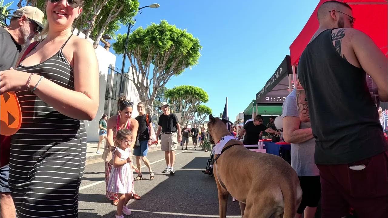 Cash 2.0 Great Dane at the Granada Hills street fair 2023 (6 of 10