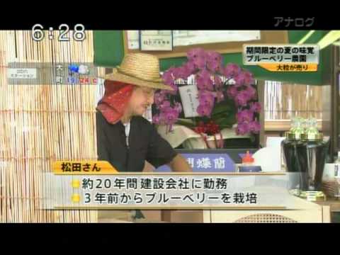 ブルーベリー農園「森の畑」の紹介動画サムネイル