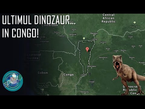 Video: Dinozaurii descoperiți la Moscova