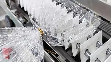 Bread bags tie machine semi automatic food pouch binding equipent