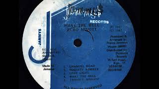 Echo Minott - Trouble Nobody - LP Jammy$ 1987 - NO FUSS NO FIGHT 80'S DANCEHALL