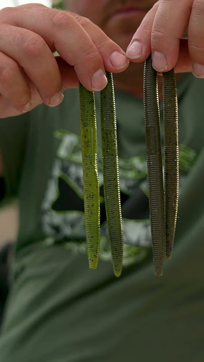 Berkley Powerbait Gilly Swimbait In-Depth with Mike Iaconelli 