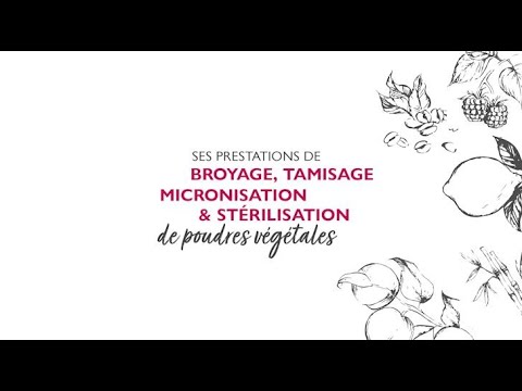Lessonia - Prestation