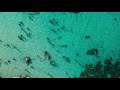 Paax Tulum ft. Monique - Fugitivo (Original Mix)