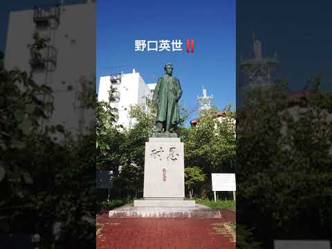 野口英世青春通りだぜ Hideyo Noguchi Youtube