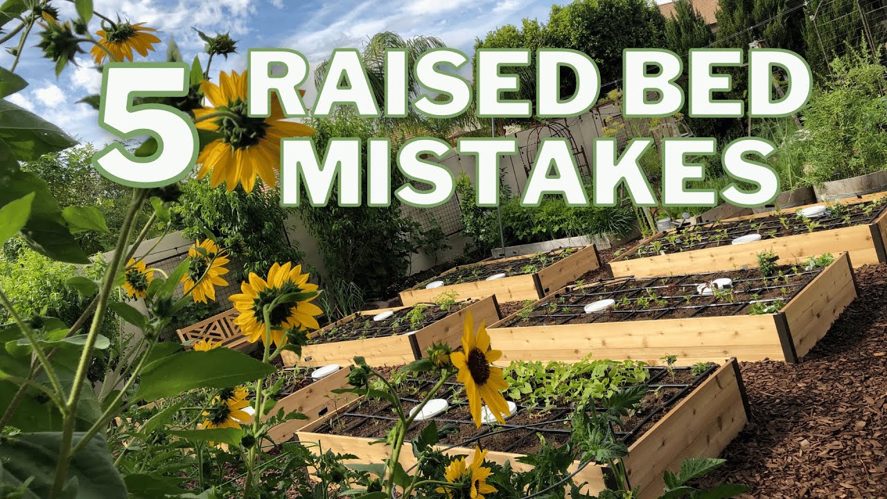 5 Raised Bed Garden Mistakes to Avoid YouTube