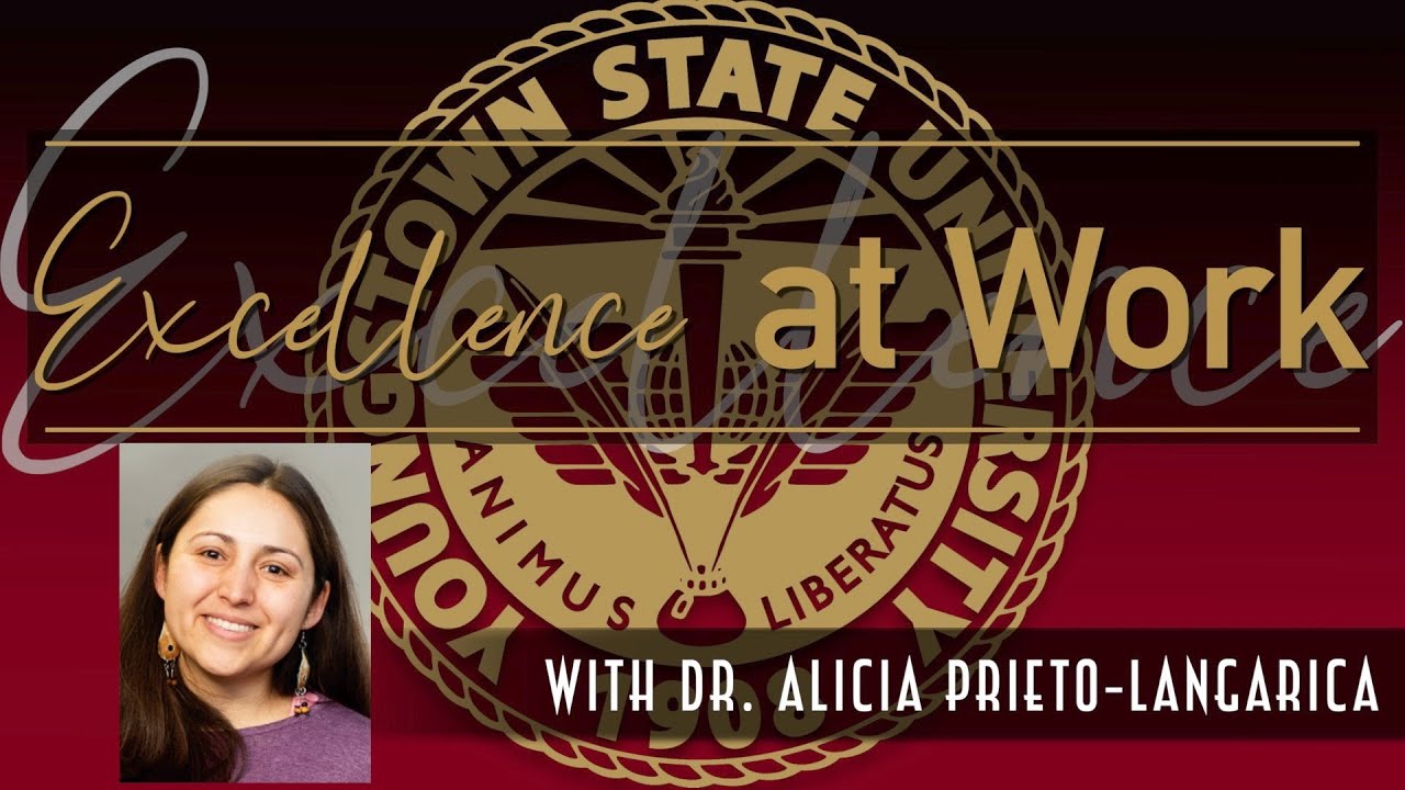 Excellence at Work | Dr  Alicia Prieto-Langarica