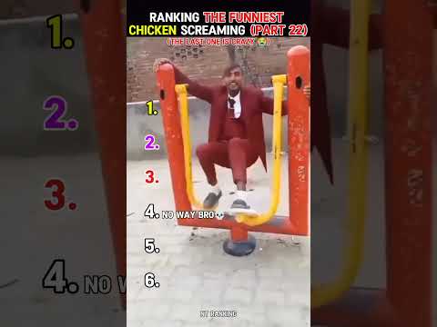 Ranking the funniest chicken screaming (part 22)
