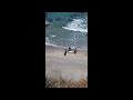 Изплуваха останки от дрон край Ахтопол
