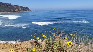 CALIFORNIA Coast Walk - Bluff Cove Trail, Palos Verdes Estates (April 2021)🚶🚶‍♂‍