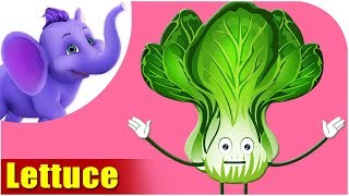 Salaad Patta (Lettuce) - Vegetable Rhymes in Hindi