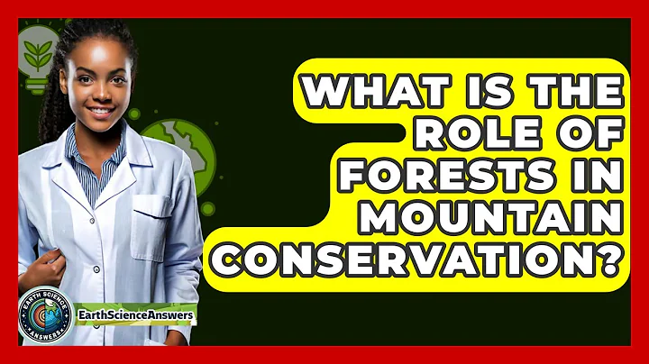 What Is The Role Of Forests In Mountain Conservation? - Earth Science Answers