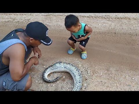 Lezbiyenlar uchun Java Kama Sutra Obektlar bilan sikish video