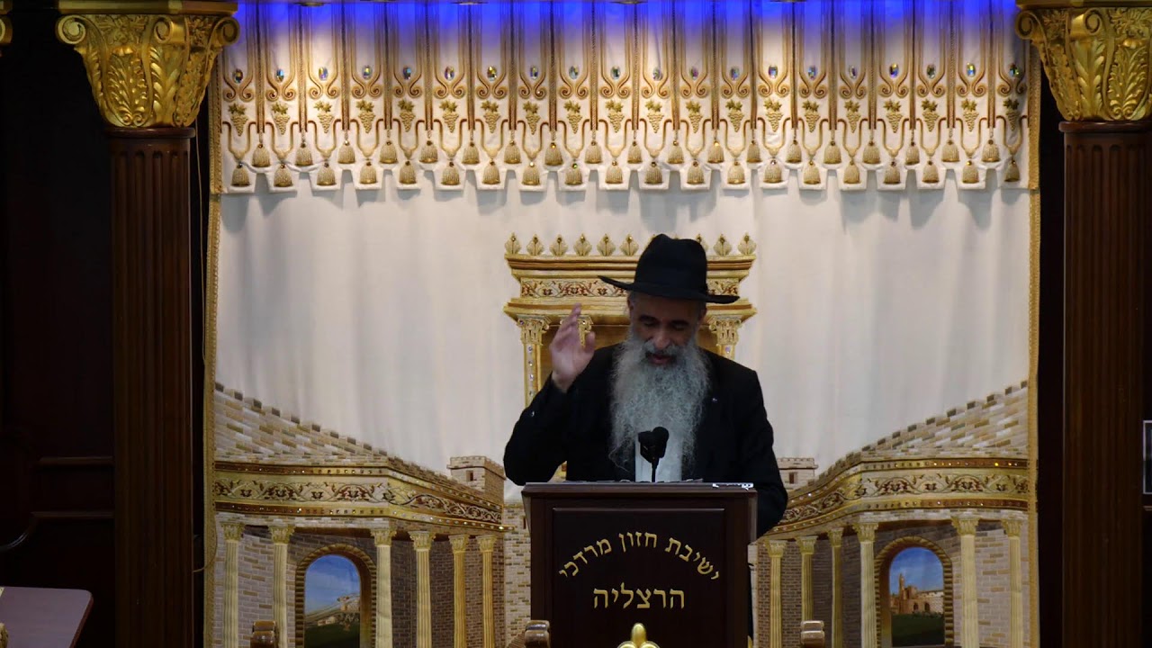 הרב מאיר דוד שמואלי שליט"א - שידור חי יום א' - פרשת שלח תשפ"ו