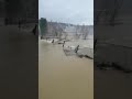 Потоп в Карлыке