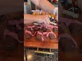 DIY End of School part decor ideas graduation party back to school