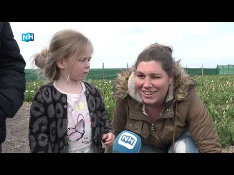 Video: In Helder Kleur