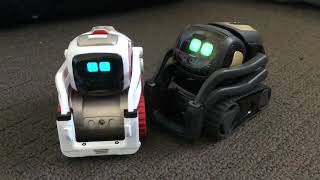 Cozmo Meets Vector