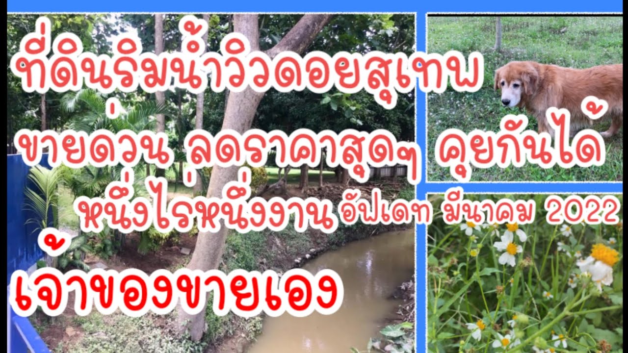 ขายที่ดินริมน้ำ วิวดอยสุเทพ ปิดการขายแล้วค่ะ กราบขอบพระคุณทุกท่าน ที่ชมคลิปนี้ค่ะ