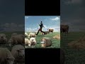 Как простой фермер выиграл супермарафон #рекомендации #спорт #новости #факты